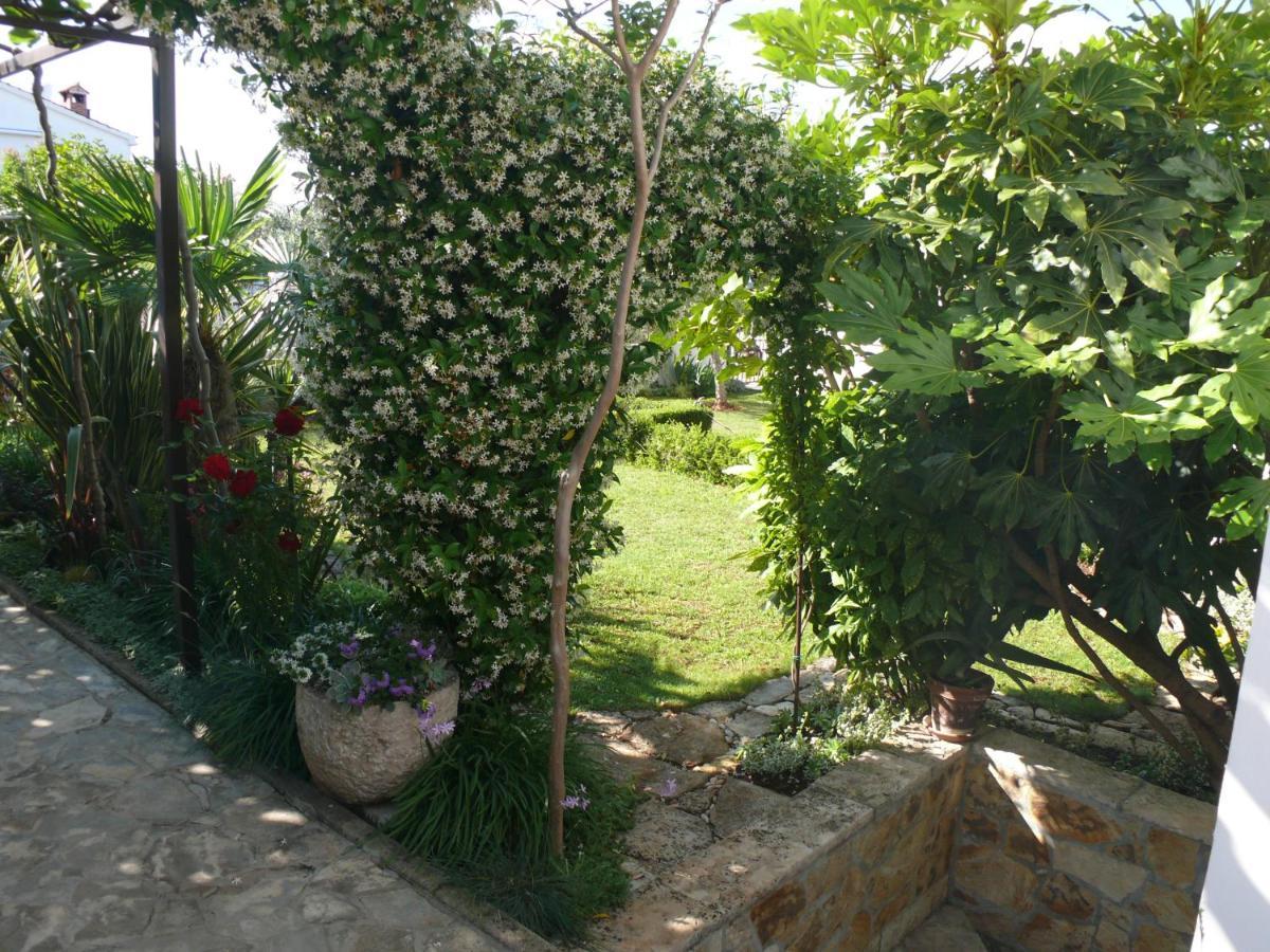 Apartment Marijana Porec Bagian luar foto